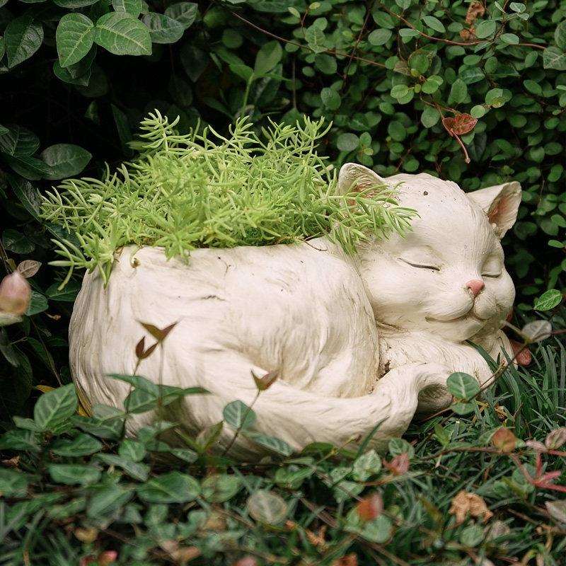 里小白内猫创意巴花器脂阳台室养肉SZ503肉花盆花园庭院种植树多