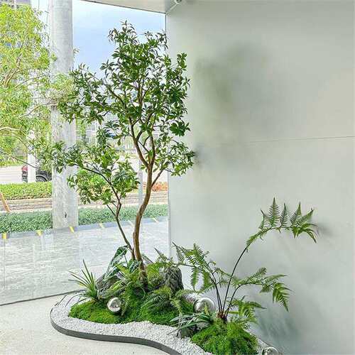 马醉木真绿植造景室内外大型假树橱窗装饰场景布置生植物景观