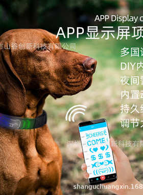 狗改颈圈appled宠物发光节丢狗狗可调夜光充电防字项圈光纤
