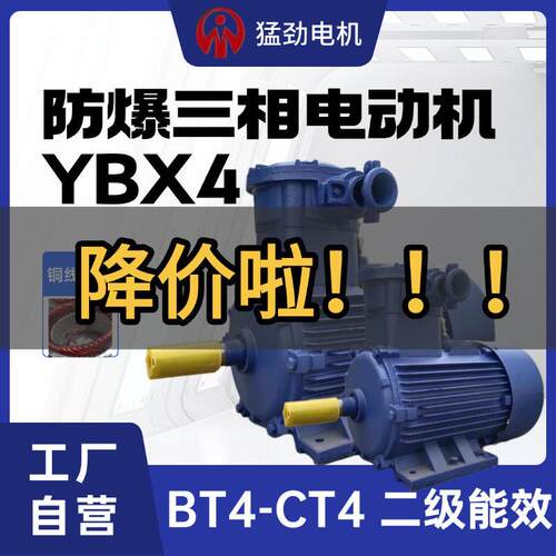 YBX4防爆电机380v三相异步电动机二级能效CT4/BT4隔爆节能电机