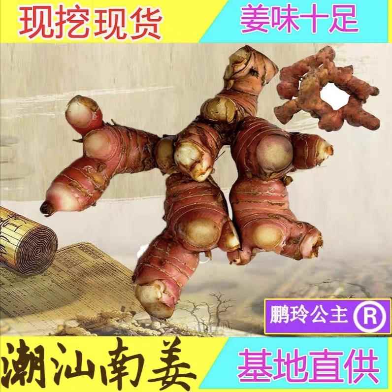 南姜潮汕新鲜包邮 精选山姜牛羊肉火锅卤味去膻提味调料南姜