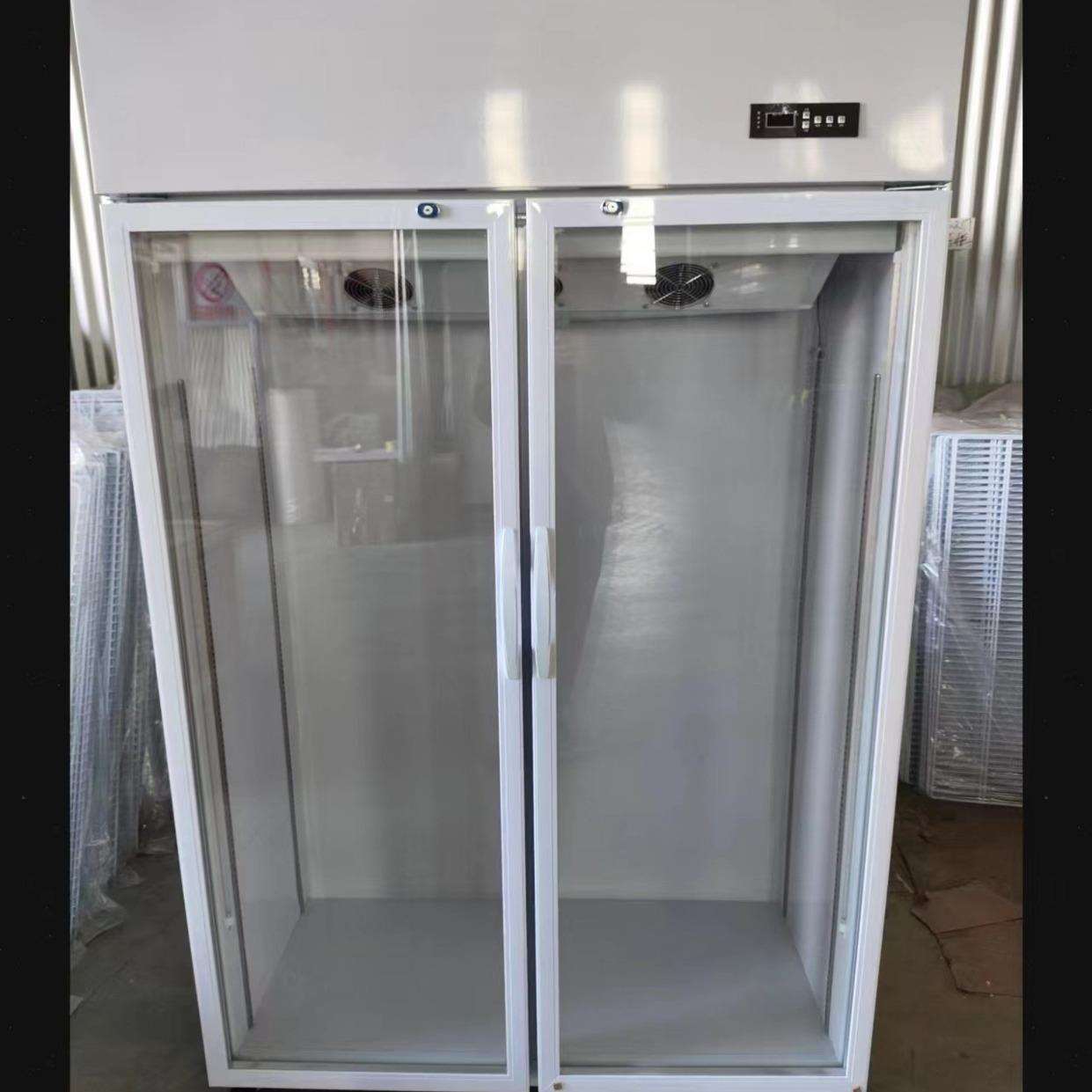 厂家直供双门鲜花柜花束冷藏柜花店冰箱展示柜鲜花柜鲜花保鲜柜