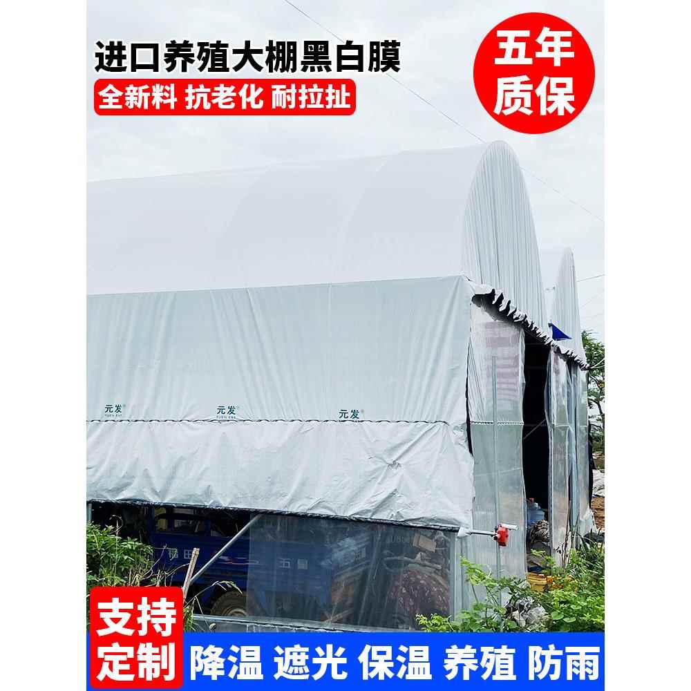 鲜安进口养殖防晒加厚大棚黑白膜隔热保温鱼塘防渗反光膜食用菌遮