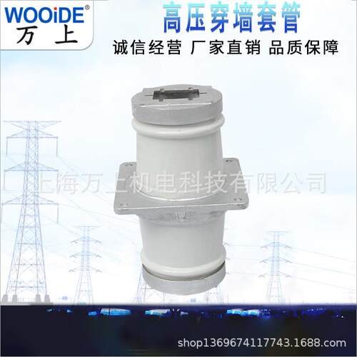 CM-10KV/90 100 160 CMW-20KV/180 270白色陶瓷母线穿墙套管