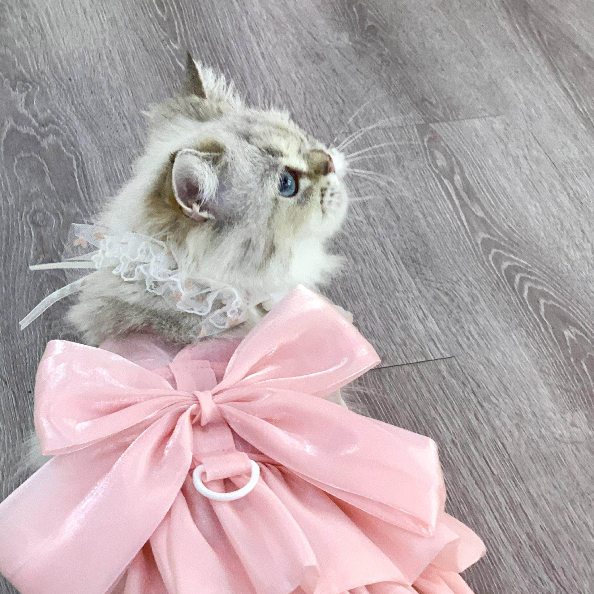 宠物婚纱礼服连衣裙子狗狗猫咪衣服用品可挂牵引泰迪比熊法斗春夏