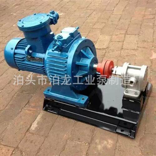 泊龙供应 2CY筑路泵船用泵 润滑皂液送泵油 增输压泵高型压泵