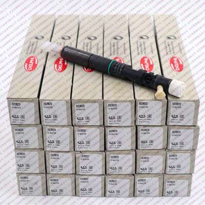 德尔福EJBR03901D喷油器/德尔福EJBR03902D喷油器/33800-4X400