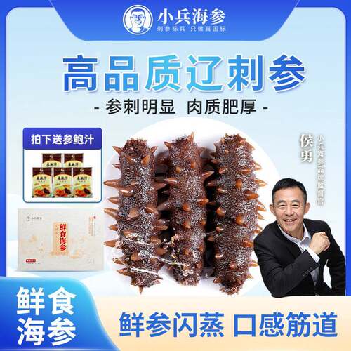 【鲜食礼袋】小兵海参即食海参礼盒礼袋辽刺参鲜食海参鲜活
