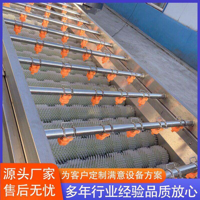 辣根芥菜头压喷淋清洗机毛桃黄桃平行毛辊清洗机厂家供应