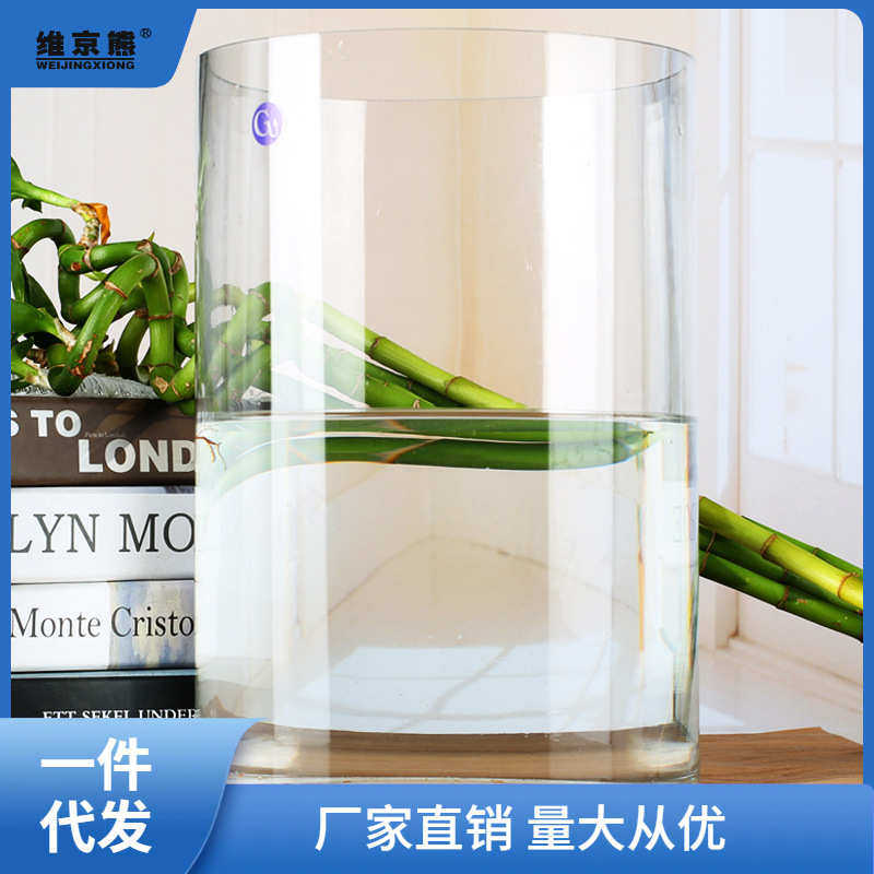 特大号圆形落地花瓶玻璃透明百合富贵竹花瓶家用水培客厅插花链衡