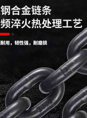 鬼头环链电动葫芦380V1//链51270吨2条式行车起重提升机运行式低