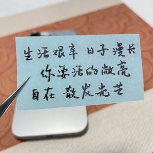 日子漫长 你要活得敞亮 个性治癒文字金属贴纸手机平板笔记本贴纸
