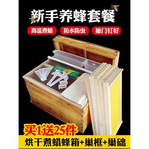 蜂箱十框箱全套蜜蜂箱中蜂箱养蜂箱巢础峰箱蜂具成品蜂巢框七框箱