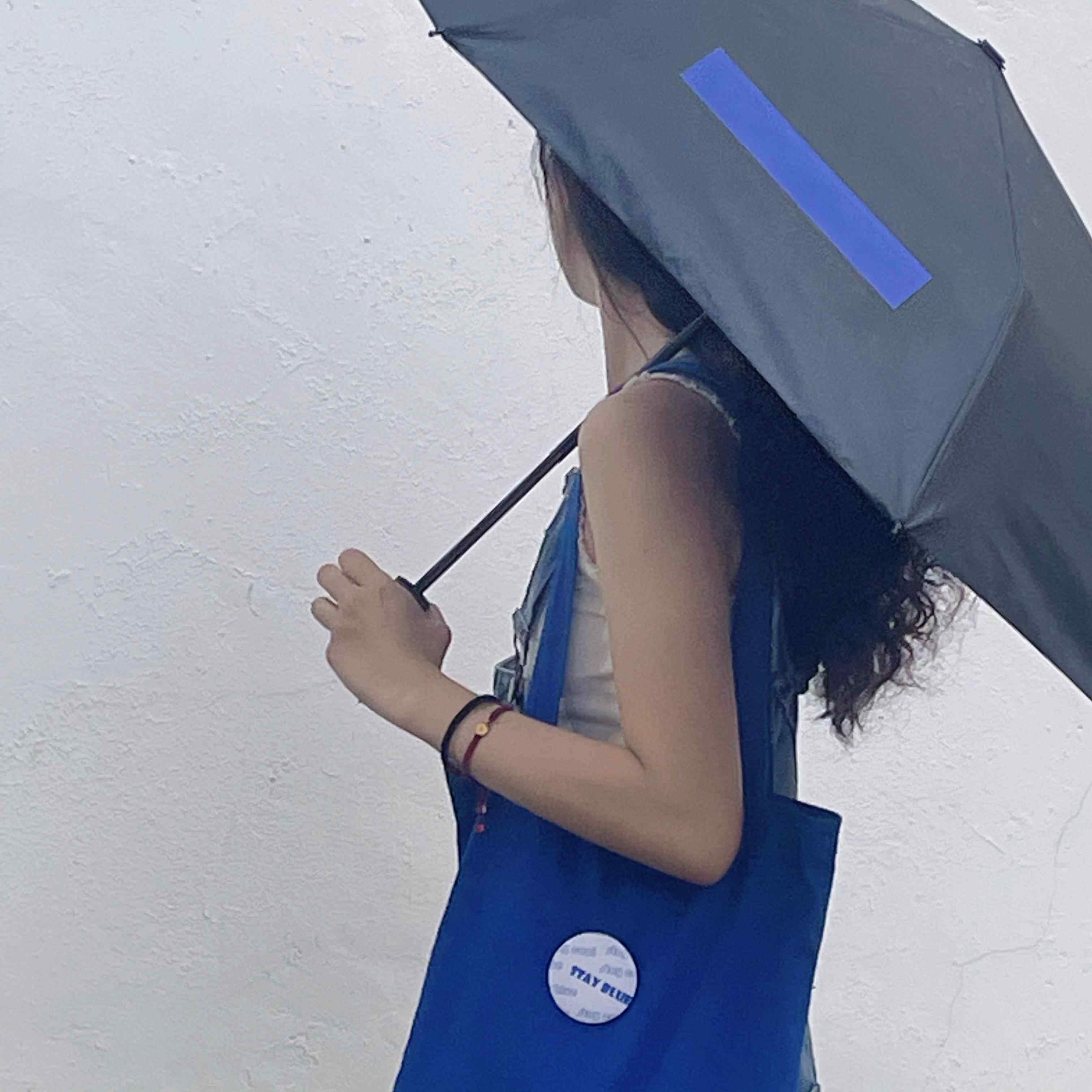 高档无蓝森粤语歌，词版，黑林胶，风雨阻，香港乐，广东歌折叠伞