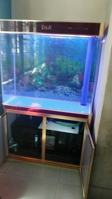 来评评德克鱼缸怎么样,属于什么档次?