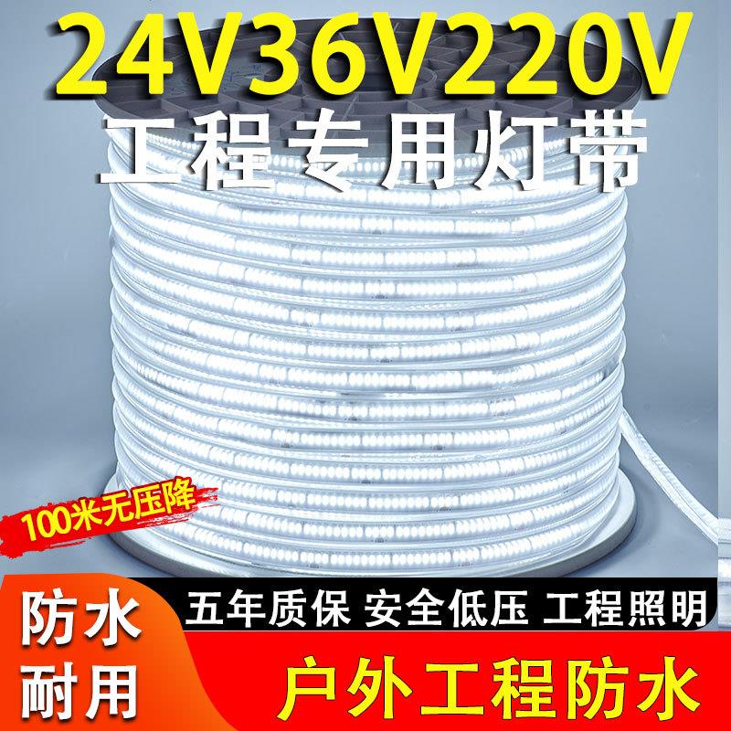 led灯带220V户外工程照明户外防水养殖塔吊工地地下室24V36V100米