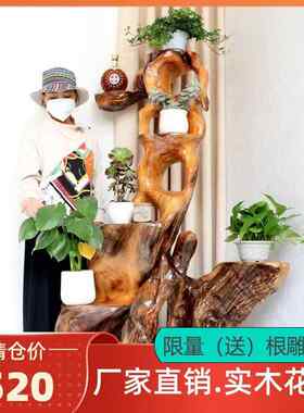 根雕花架博物架天然实木香樟木盆景架室内原木整体根艺摆件花盆架