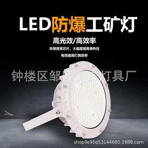 防爆免维护照明投光灯加油站圆形LED防爆灯50W100W150W200W泛光灯