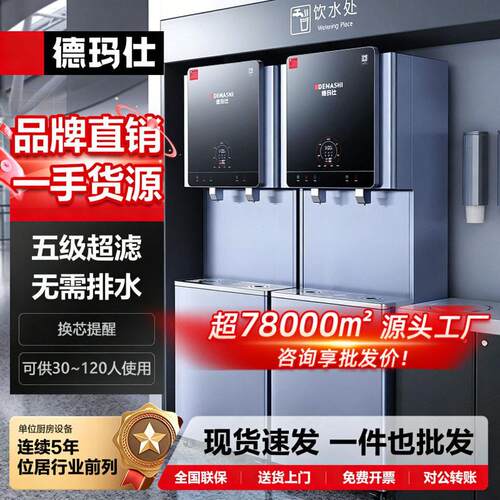 DEMASHI商用开水器直饮水机大流量烧水机位饮水机RO五级