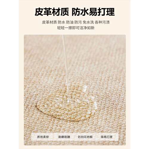 入户门地垫可擦免洗pvc2025新款脚垫玄关门口进门地毯可裁剪耐脏