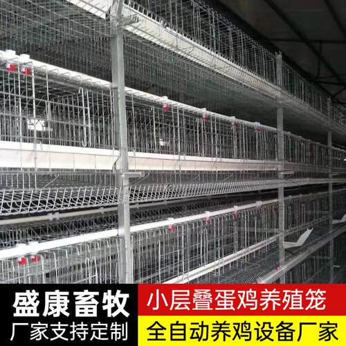多层立式蛋鸡笼养殖场小层叠全自动化集蛋清粪鸡笼镀锌蛋鸡笼定制