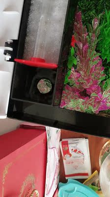 大家使用反馈松宝鱼缸怎么样，揭秘如何鉴定真伪