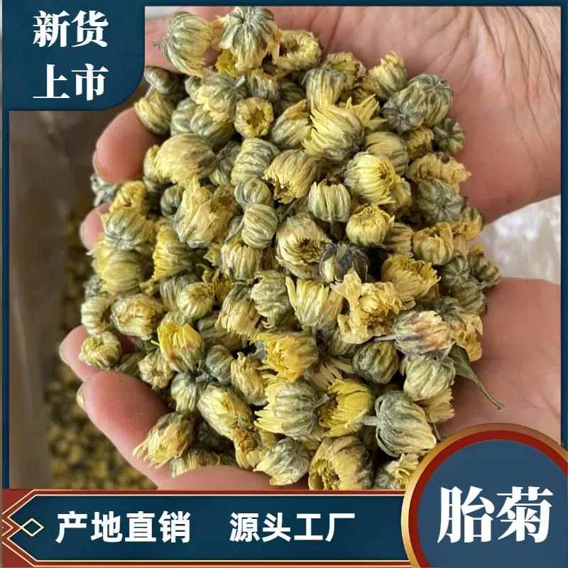 新货北京胎菊江苏胎菊菊花茶杭白菊朵花胎菊米散装源产地厂家