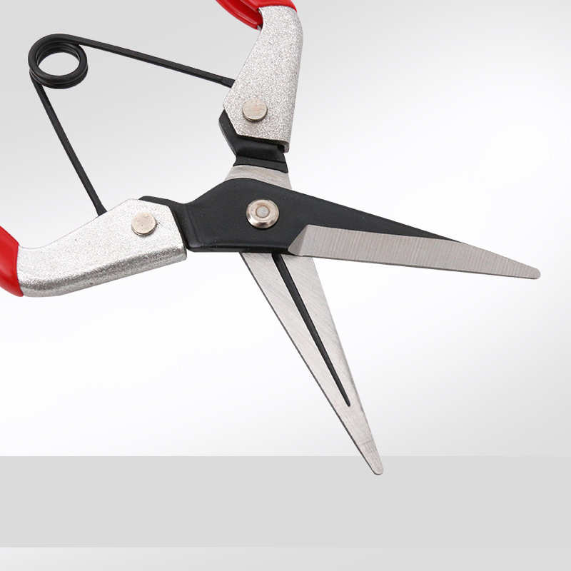 台湾帝胜稀果剪18010909摘果剪 采果剪 葡萄修枝剪蔬花蔬果剪