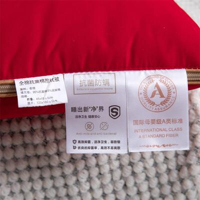 时尚简约抗菌棉抱被高端头枕车被用二合一抱枕纯20枕24棉AXR新款