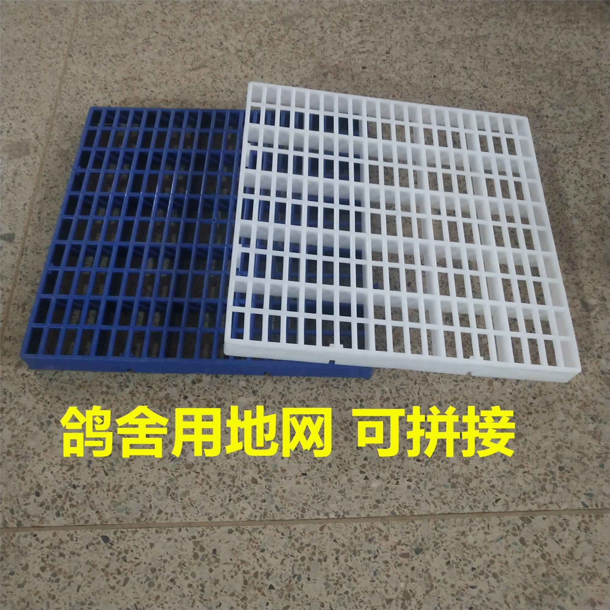 养殖地网鸽鹏地网拼接漏粪网格鸽子赛鸽信鸽网格板鸽舍鸽笼专用网