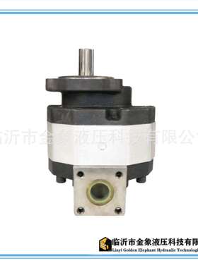 CBFC齿轮泵FC590FC85FC5100F100FC680花左花右侧进侧出后进后出