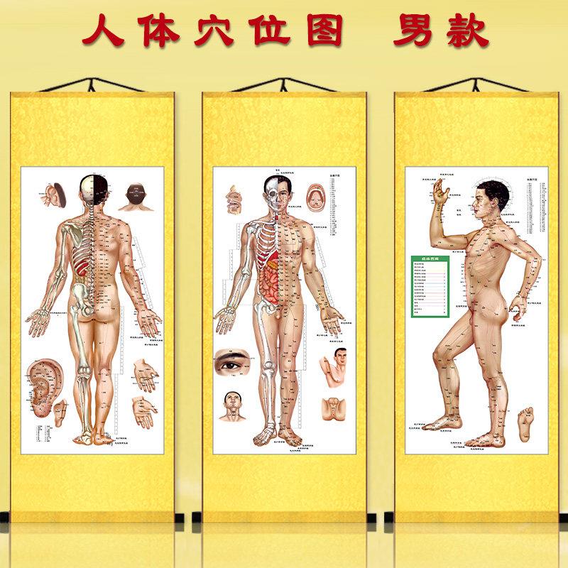 人体穴位大挂图 针灸经络图 丝绸卷轴挂画 医院诊所装饰画