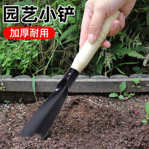 Specialized wild vegetable digging spade, gardening shovel,