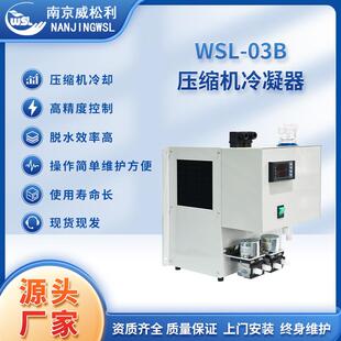 厂家供应WSL-03B压缩机冷凝器cems在线检测现货