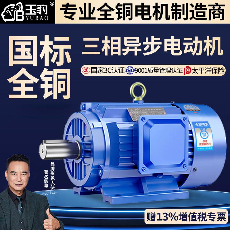 全铜三相异步电动机11/15/18.5/22/30/37/45千瓦55KW国标380V电机