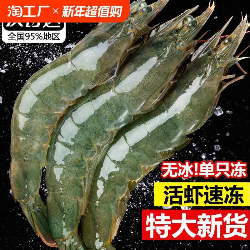 大虾鲜活速冻超大青岛基围虾特大冷冻海虾青虾白虾类海鲜水产无冰