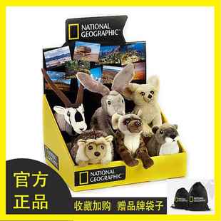 国家地理毛绒玩具斑鬣狗刺猬耳廓狐可爱公仔定情毕业生日礼物包邮