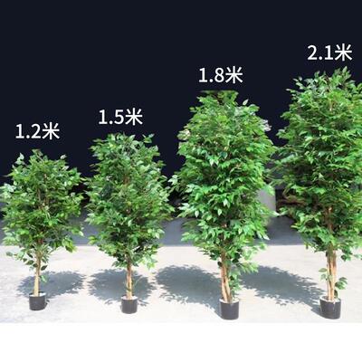 榕人造2.1m户UMC外景观装大型植物仿真榕饰树大厅假树盆栽仿真树