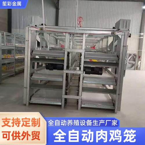 立体式多层肉鸡笼全自动上料清粪鸡笼养鸡场鸡舍用框架式肉鸡笼