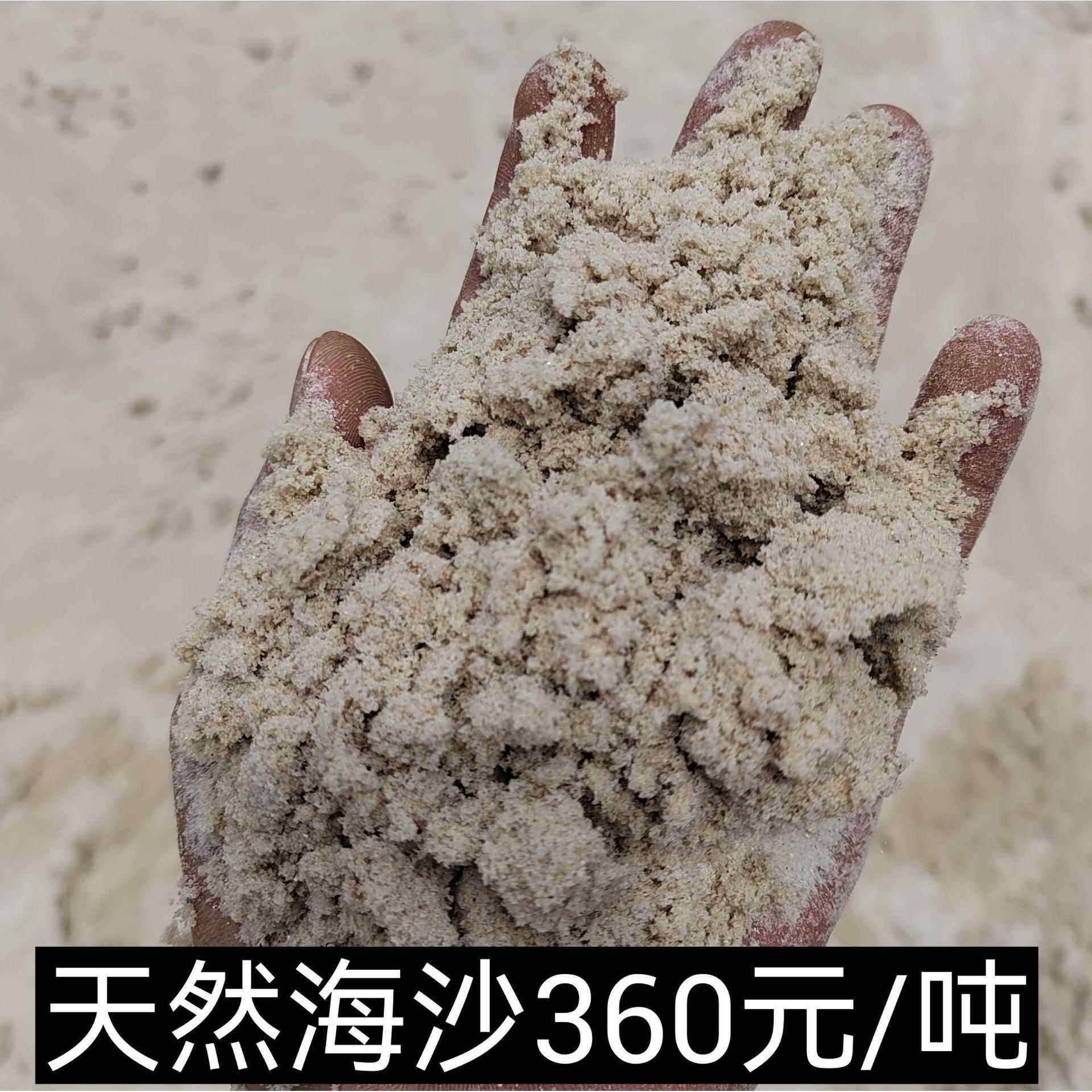 天然海砂烘干砂铸造砂儿童玩乐砂厂家直销偃师舞钢汝州林州卫辉