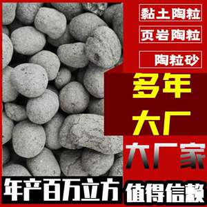 大量下沉式卫生间回填陶粒建筑保温环保材料硅藻土保温板