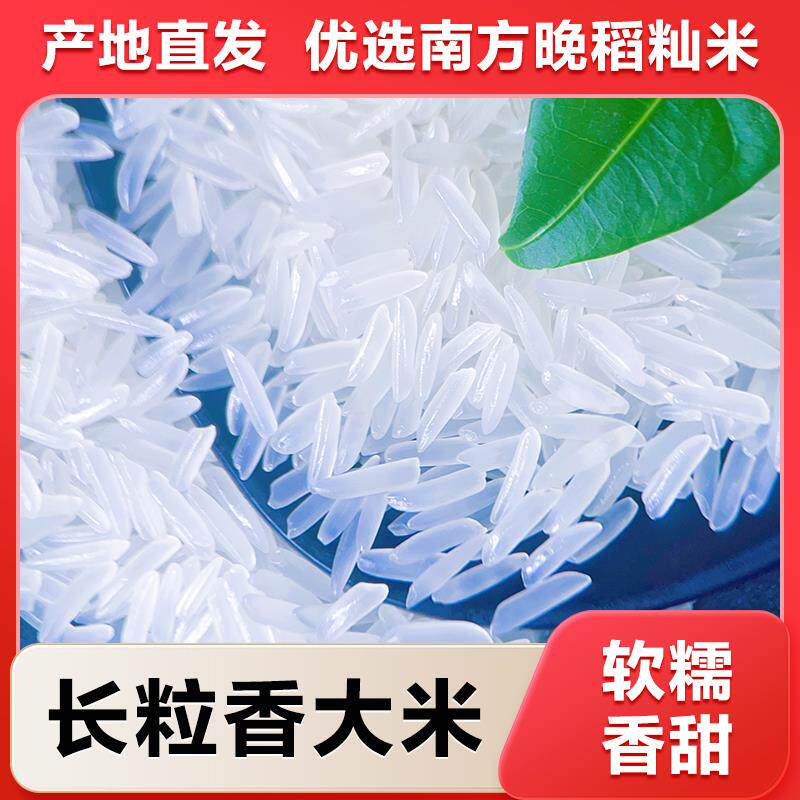 (2024年新米)农家新鲜现磨当季丝苗新米不抛光不打蜡长粒香米包邮