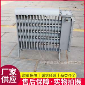 矿用防爆电热取暖器RB-2000/127V井下电暖气工业用电加热防爆油汀