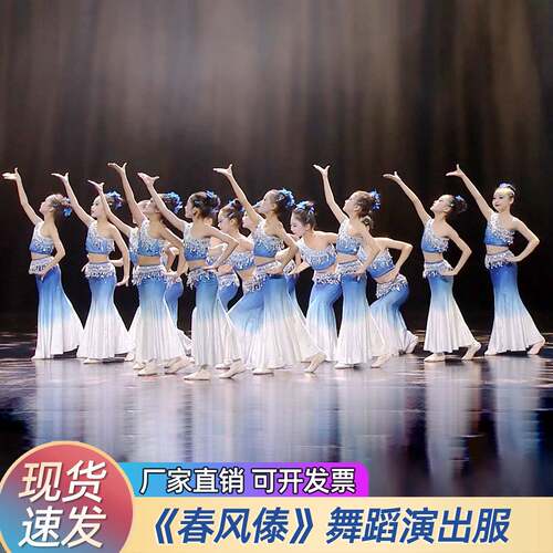 春风傣舞蹈服装花儿傣族女儿童china春风水之灵舞蹈服傣笠演出服