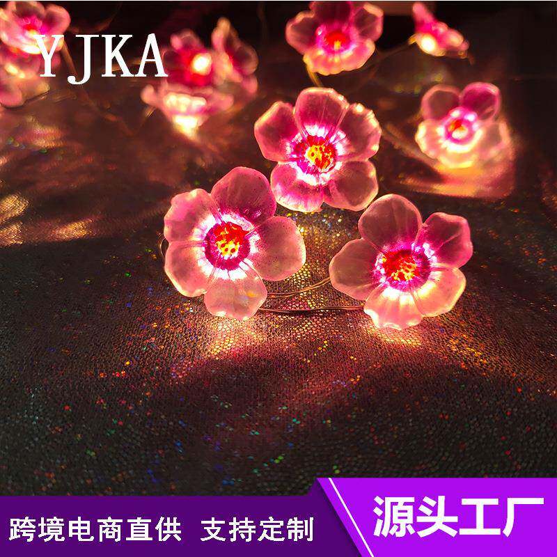 led铜丝灯串铜线电池盒USB仙女串灯装饰氛围灯节日彩灯防水庭院灯