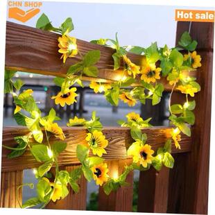 cane vine Fairy LED Party light Lights Decoration string