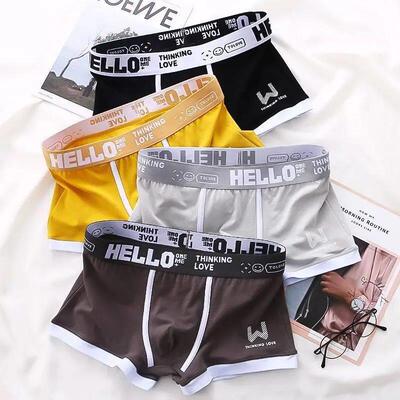 Men Panties Cotton BoxerShorts Man Underwear Mens Boxers Bre