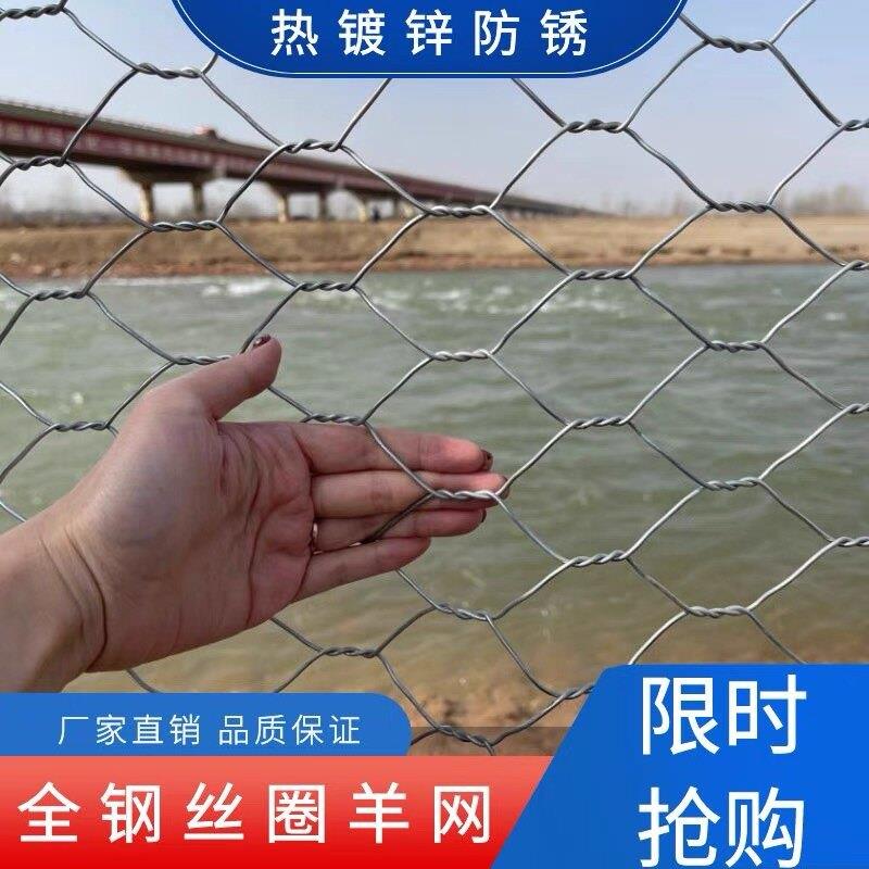 热六浸殖镀锌铁丝网围栏网养UVL牛羊猪狗鹿拧花网角钢丝网护坡喷