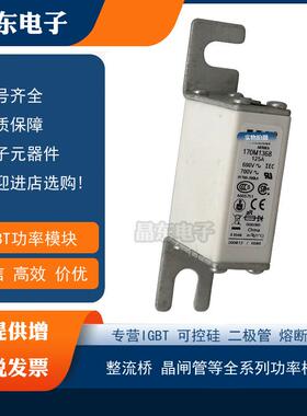 170M1368 170M1369 170M1370 170M1371 170M1372原装现货保险丝