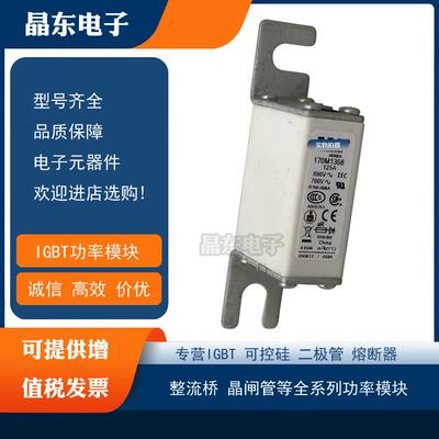 170M1368 170M1369 170M1370 170M1371 170M1372原装现货保险丝